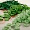 12 Pack: Green PVC Rondelle Spacer Heishi Beads, 5.8mm by Bead Landing™